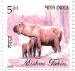 Indian Postage Stamp on A Commemorative  Mishmi Takin (budorcas Taxicolor Hodgson)
