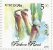 Indian Postage Stamp on A Commemorative  The Pitcher Plant (nepenthes Khasiana)