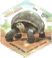 Indian Postage Stamp on Aldabra Giant Tortoise