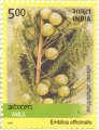 Indian Postage Stamp on Amla