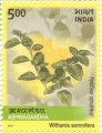 Indian Postage Stamp on Ashwagandha</p>  Denomination  Inr 05.00   </td>   </tr>   					    7th April 2003:    Amla  Denomination  Inr 05.00      					    30th Mar 2003:    Kakaji Maharaj  Denomination  Inr 05.00      					