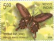 Indian Postage Stamp on Endemic Butterflies Of Andaman & Nicobar Islands