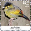 Indian Postage Stamp on Endemic Species Of Indian Biodiversity Hotspots Bugun Liocichla
