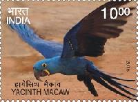 Indian Postage Stamp on Exotic Birds