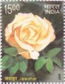Indian Postage Stamp on Fragrance Of Roses