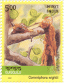Indian Postage Stamp on Guggulu