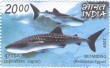 Indian Postage Stamp on India-philippines:joint Issue
Butanding
(rhincodon Typus)