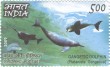 Indian Postage Stamp on India-philippines:joint Issue
Gangetic Dolphin
(platanista Gangetica)
