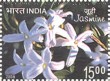 Indian Postage Stamp on Jasmine