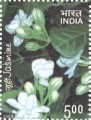 Indian Postage Stamp on Jasmine