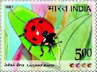 Indian Postage Stamp on Ladybird Beetle