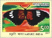 Indian Postage Stamp on Nature