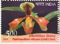 Indian Postage Stamp on Orchids