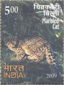 Indian Postage Stamp on Rare Fauna Of The North East
Marbled Cat