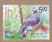 Indian Postage Stamp on Vulnerable Birds